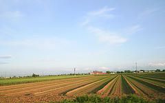 Caldo afoso sulla strada di casa